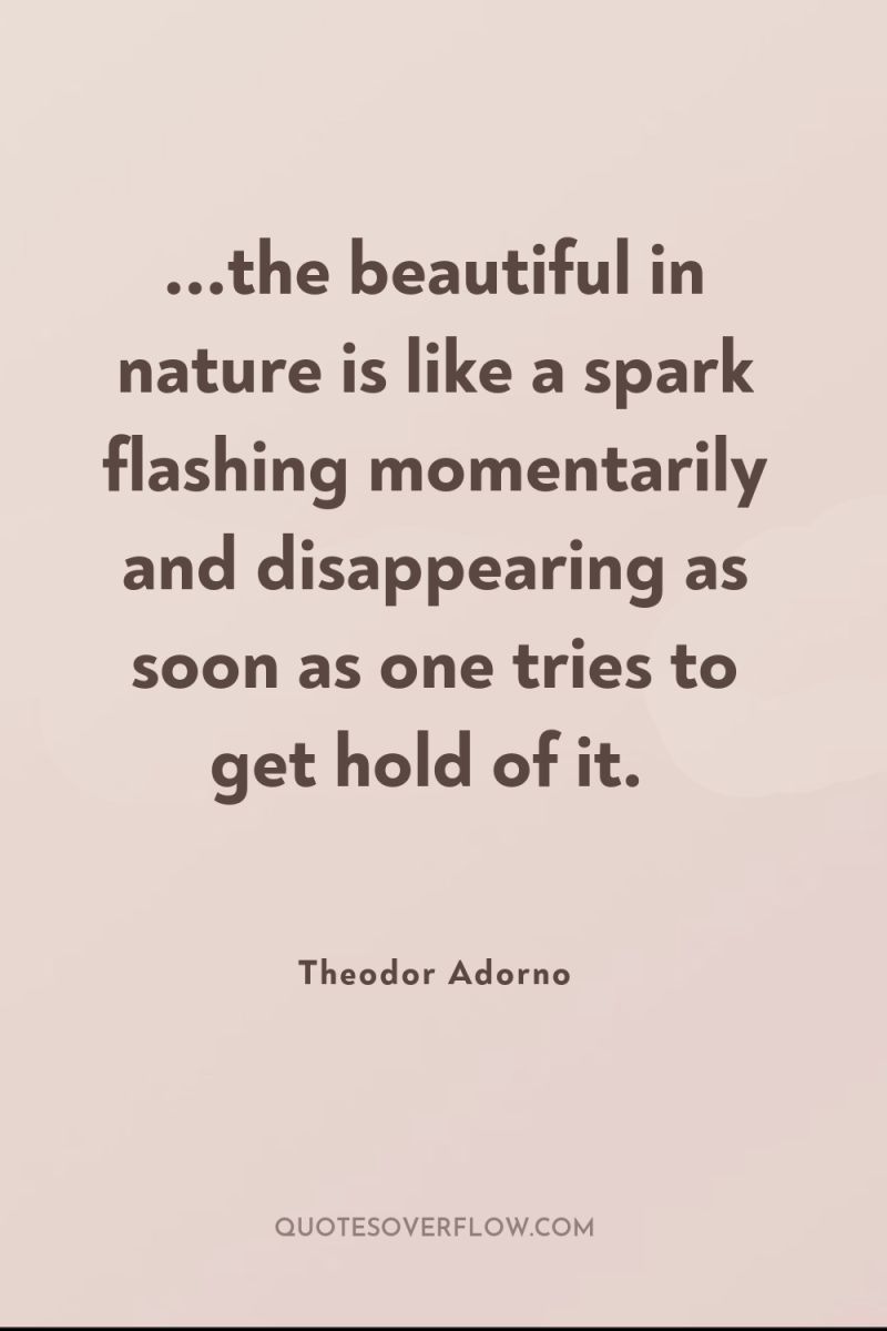 ...the beautiful in nature is like a spark flashing momentarily...