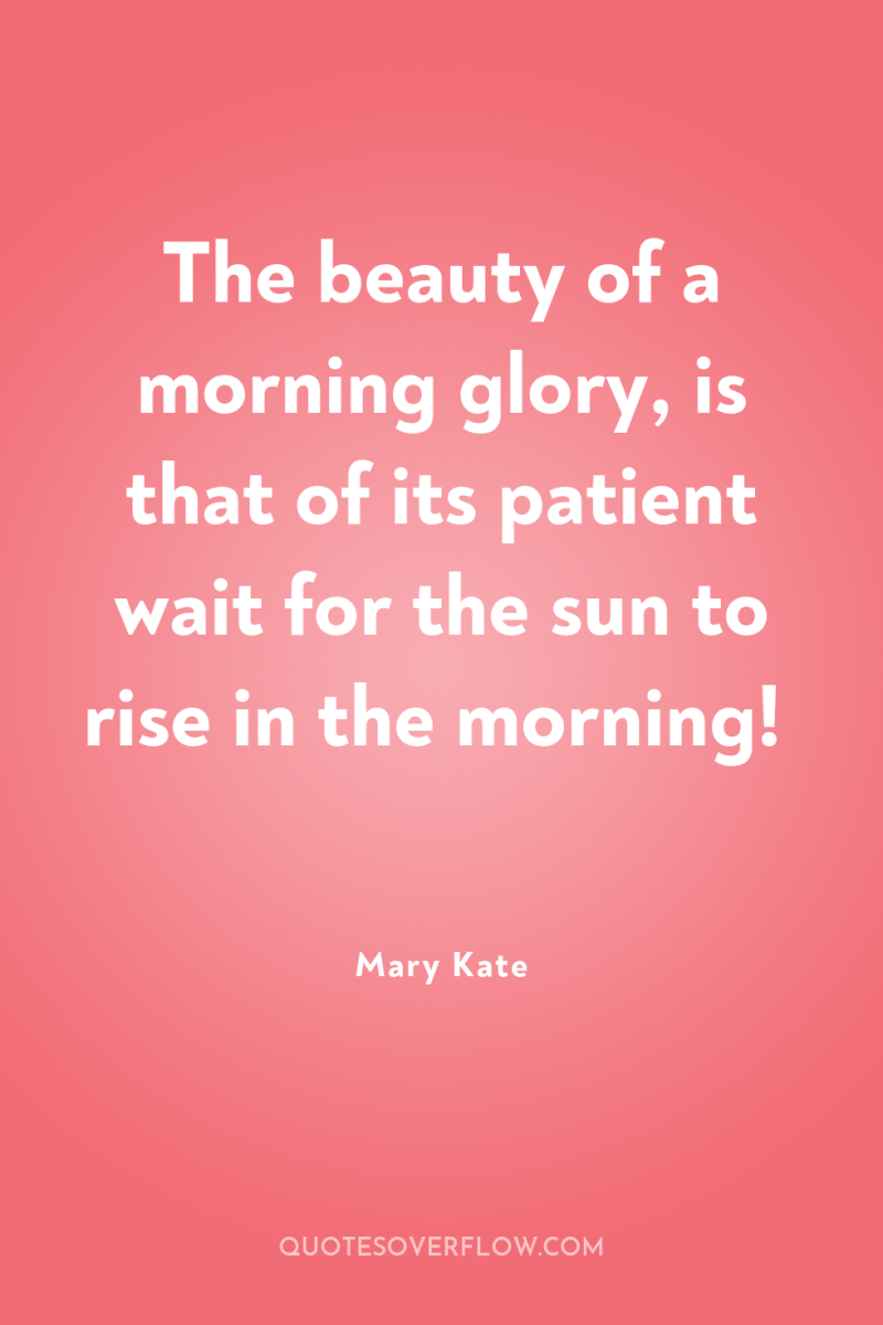 The beauty of a morning glory, is that of its...