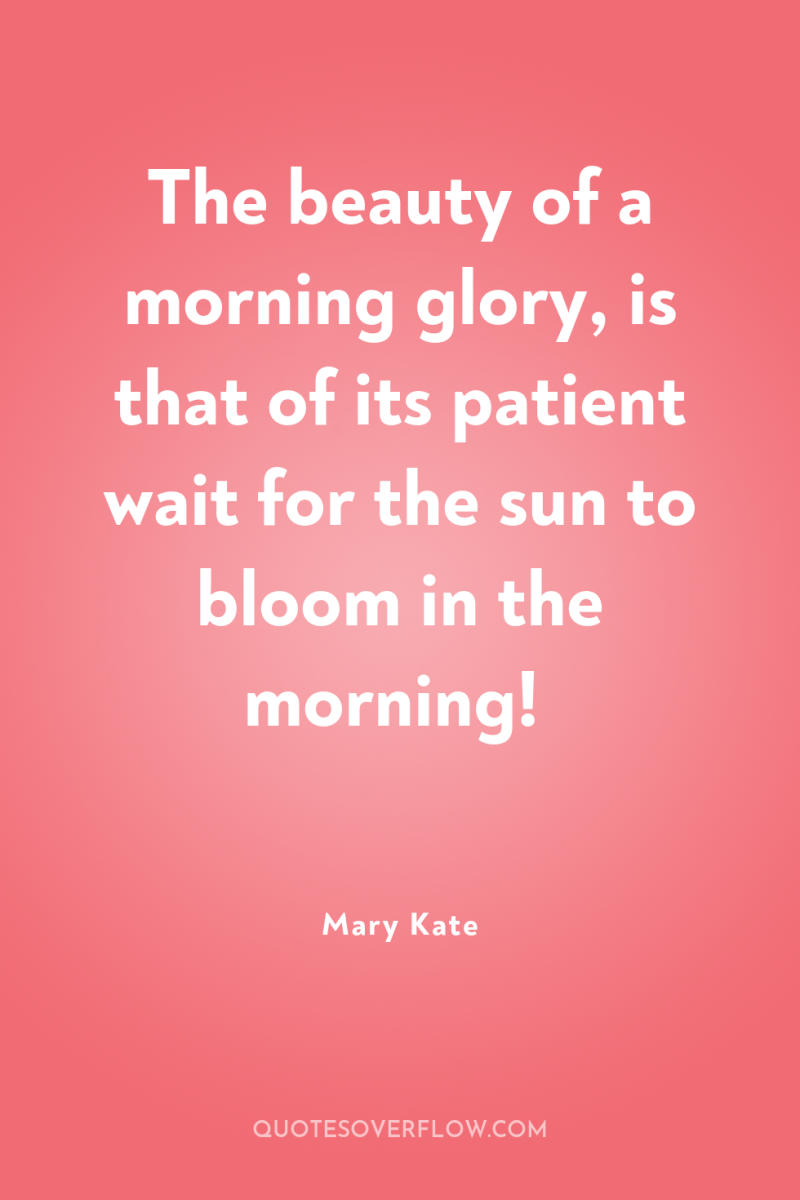 The beauty of a morning glory, is that of its...