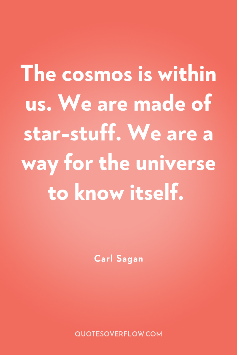The cosmos is within us. We are made of star-stuff....