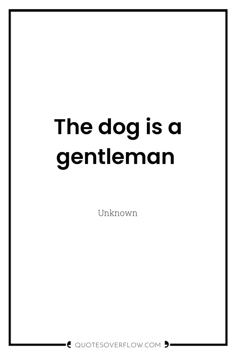 The dog is a gentleman 