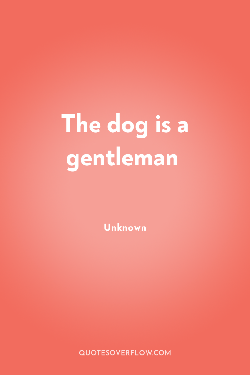 The dog is a gentleman 