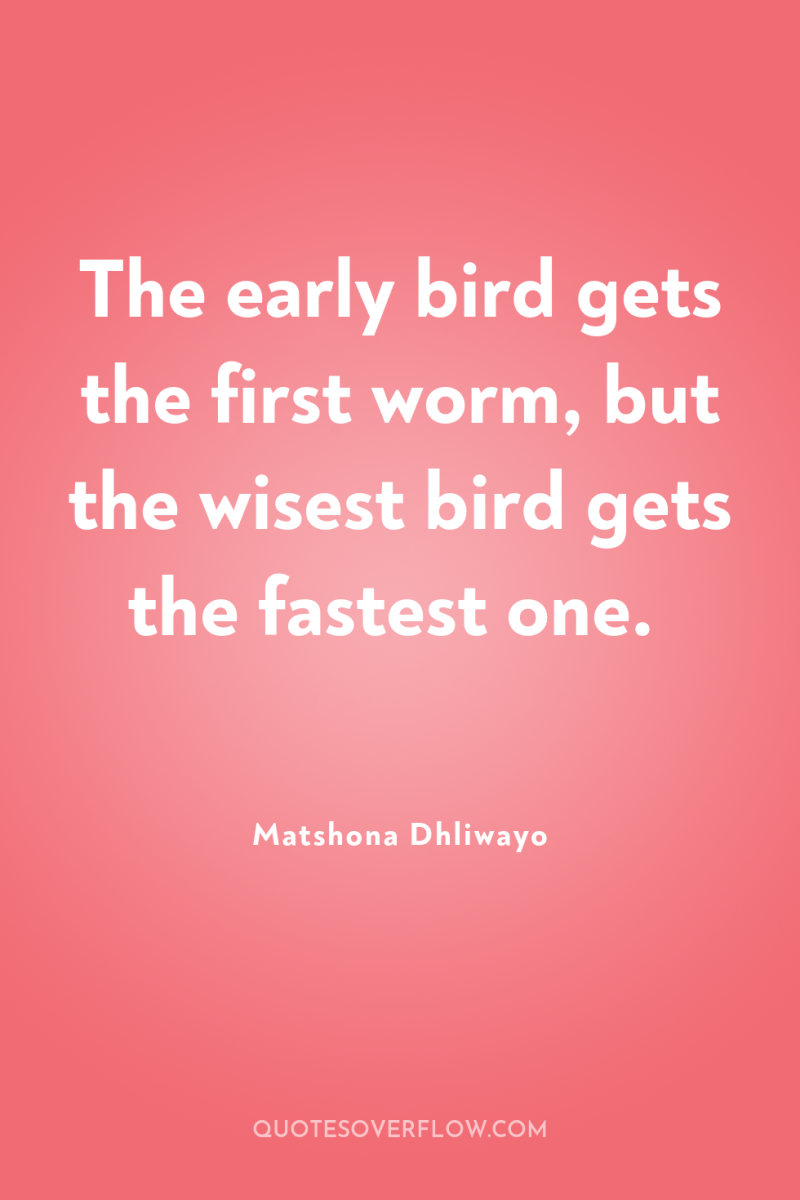The early bird gets the first worm, but the wisest...