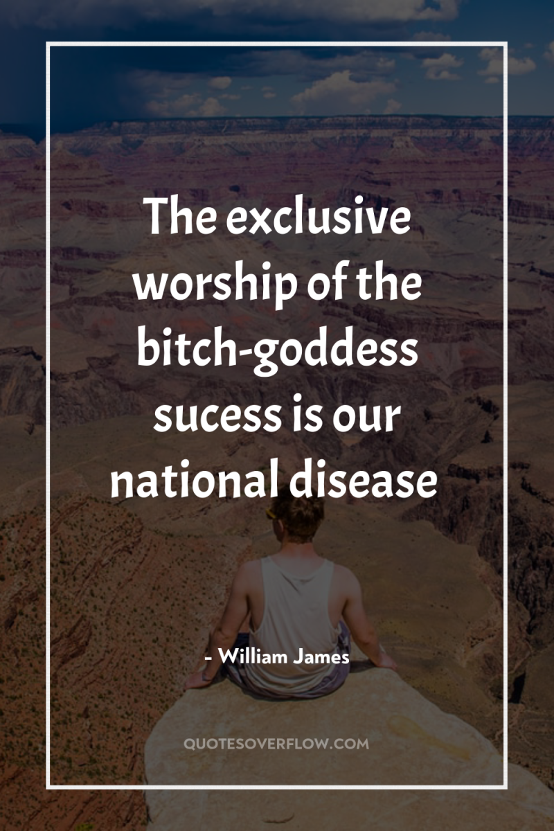 The exclusive worship of the bitch-goddess sucess is our national...