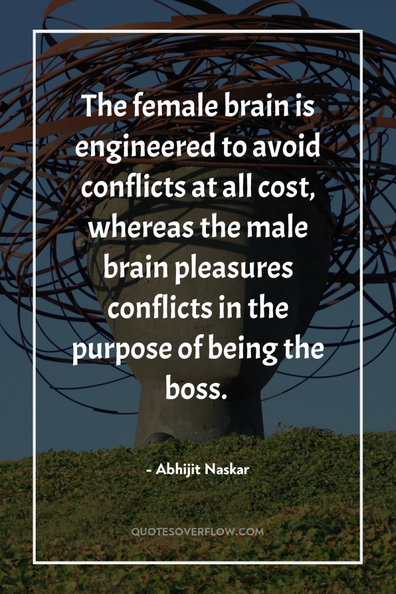 The female brain is engineered to avoid conflicts at all...