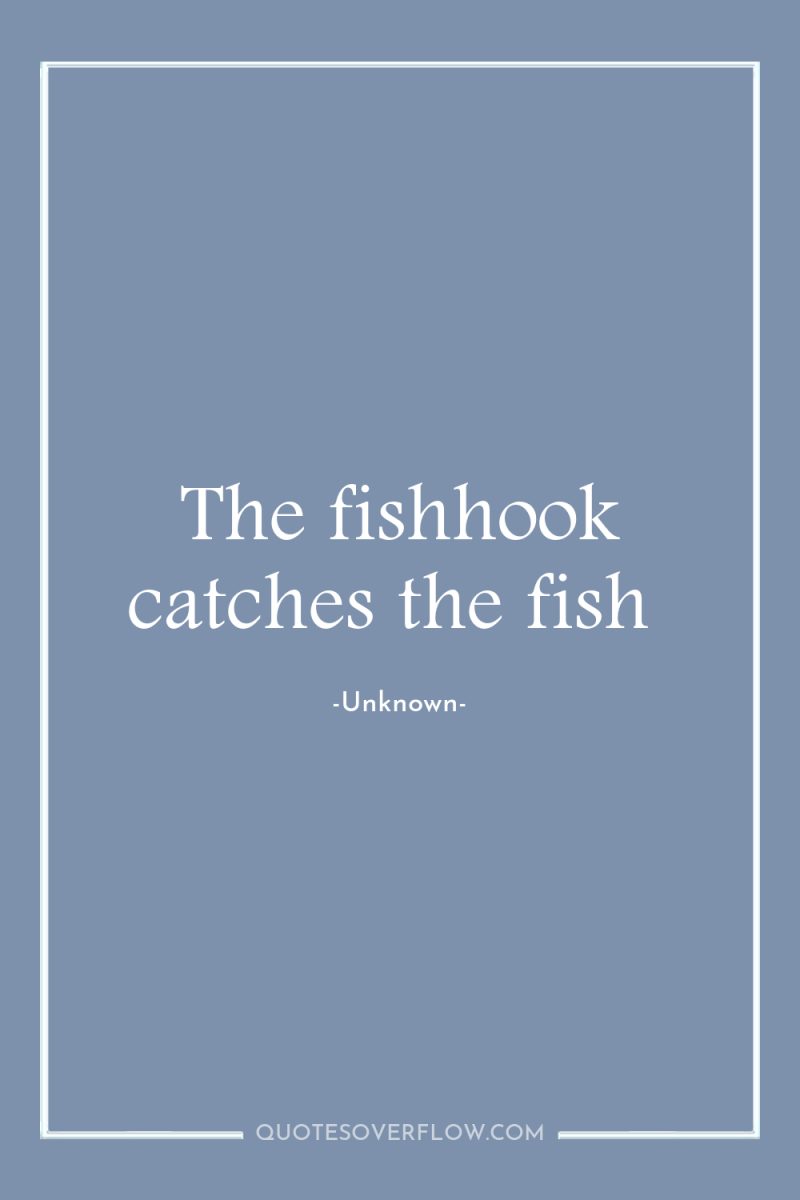 The fishhook catches the fish 