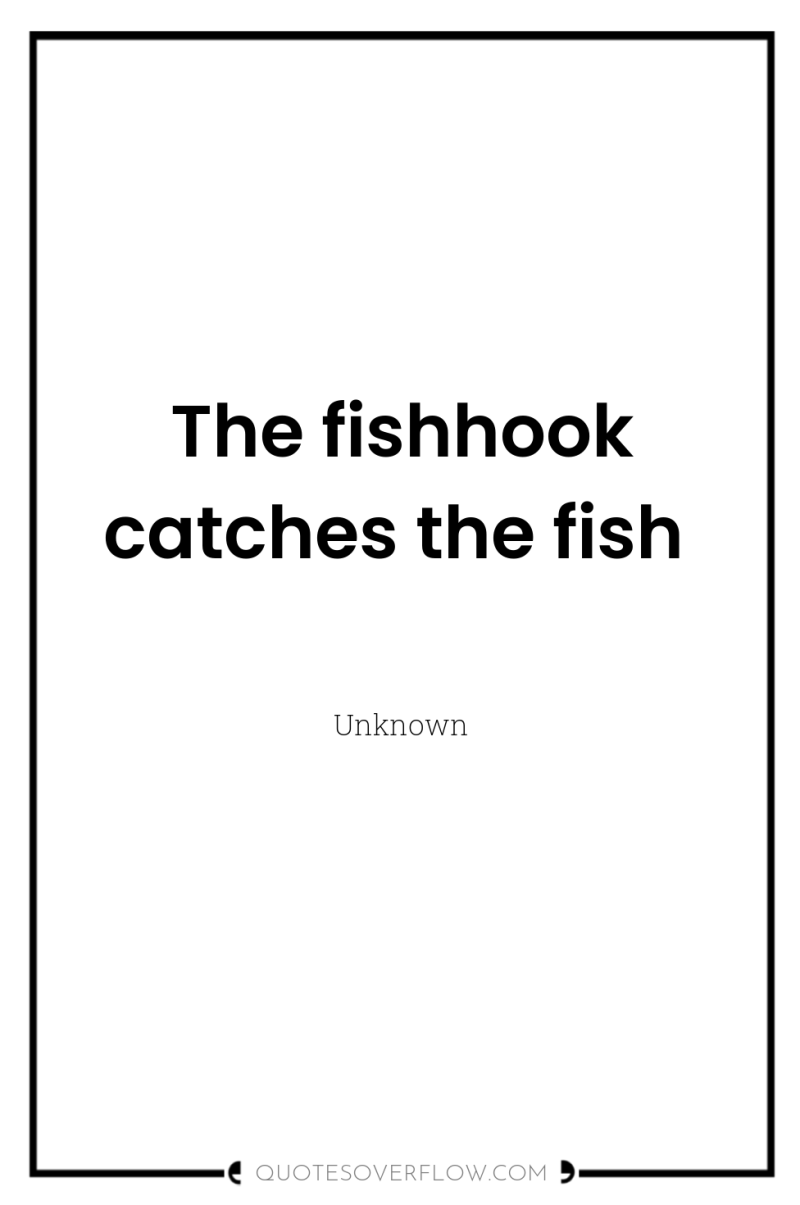 The fishhook catches the fish 