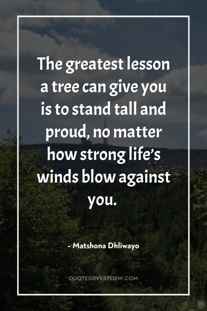 The greatest lesson a tree can give you is to...