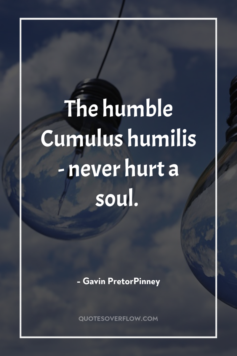 The humble Cumulus humilis - never hurt a soul. 