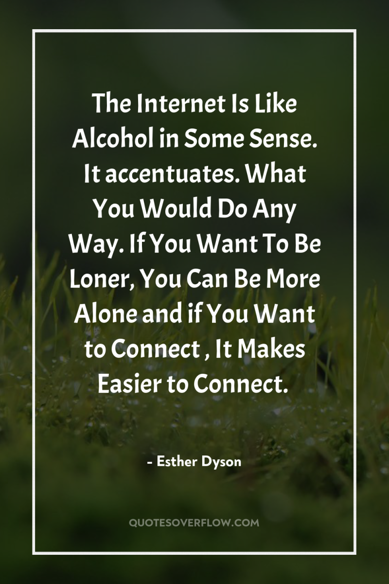 The Internet Is Like Alcohol in Some Sense. It accentuates....