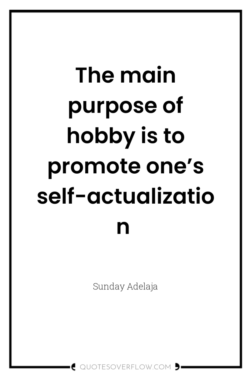 The main purpose of hobby is to promote one’s self-actualization 