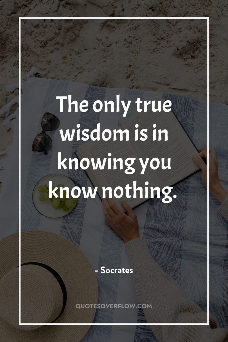 The only true wisdom is in knowing you know nothing. 