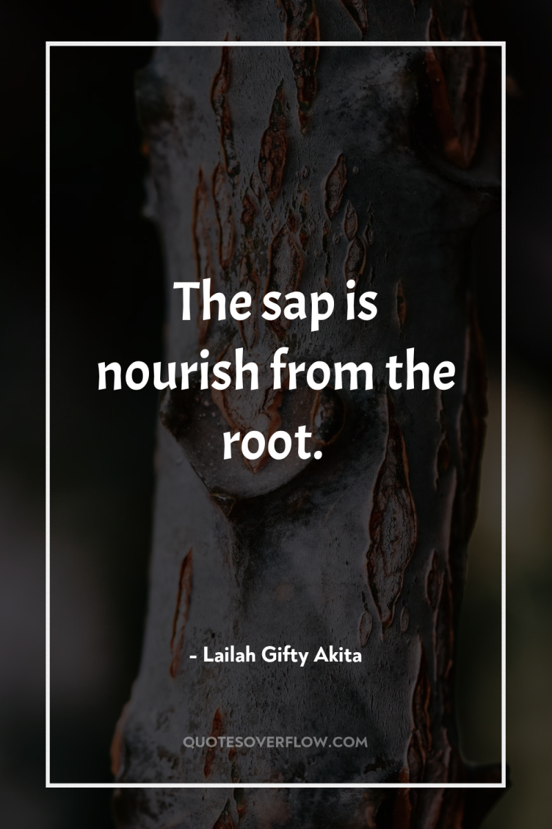 The sap is nourish from the root. 