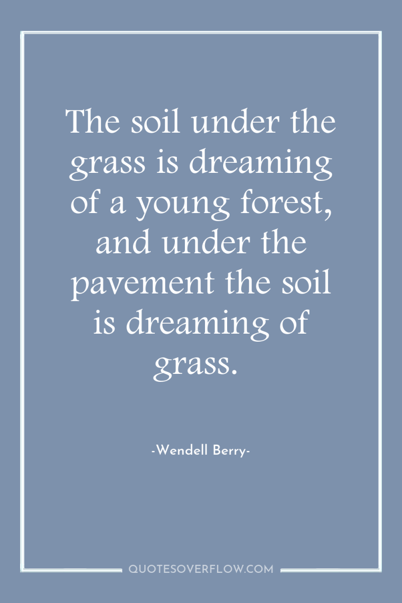 The soil under the grass is dreaming of a young...