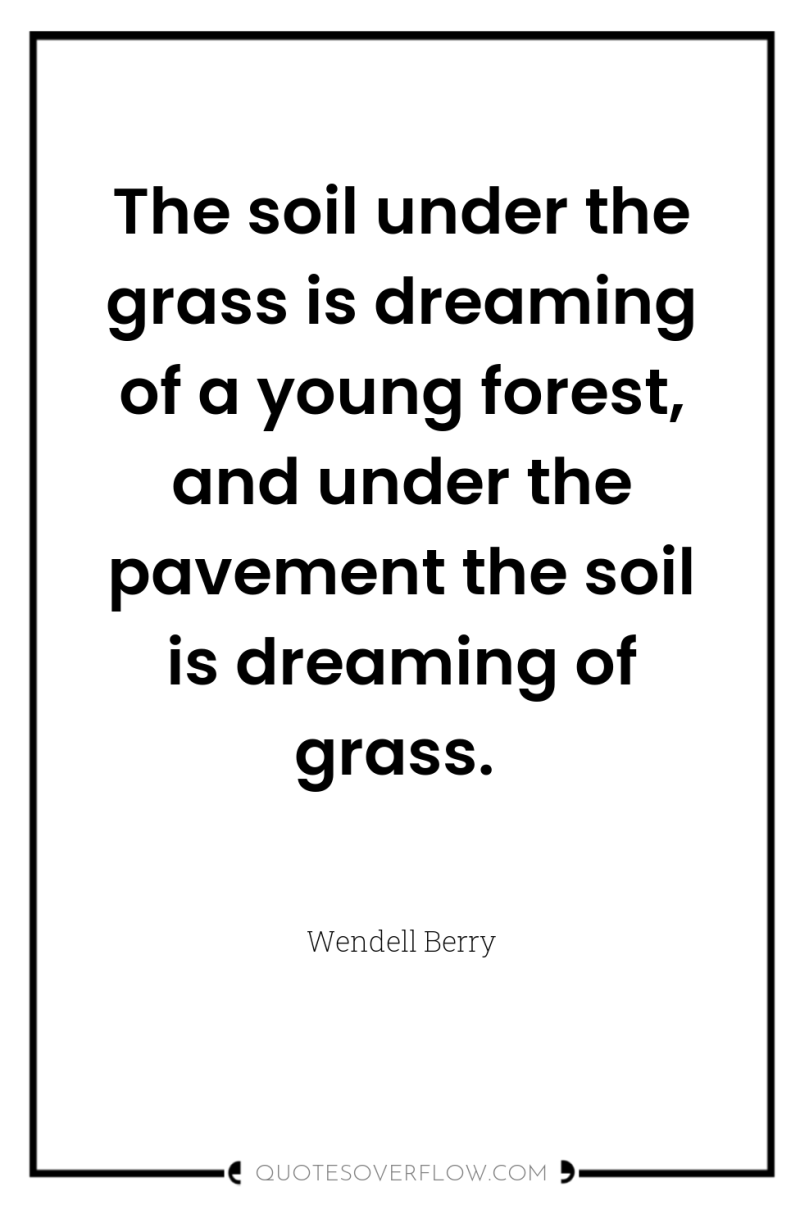 The soil under the grass is dreaming of a young...