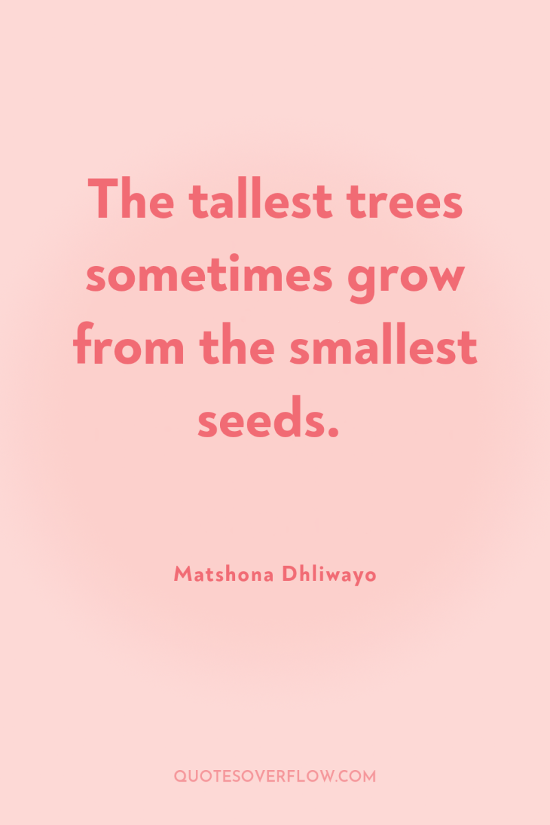 The tallest trees sometimes grow from the smallest seeds. 