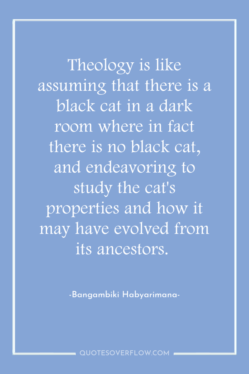 Theology is like assuming that there is a black cat...