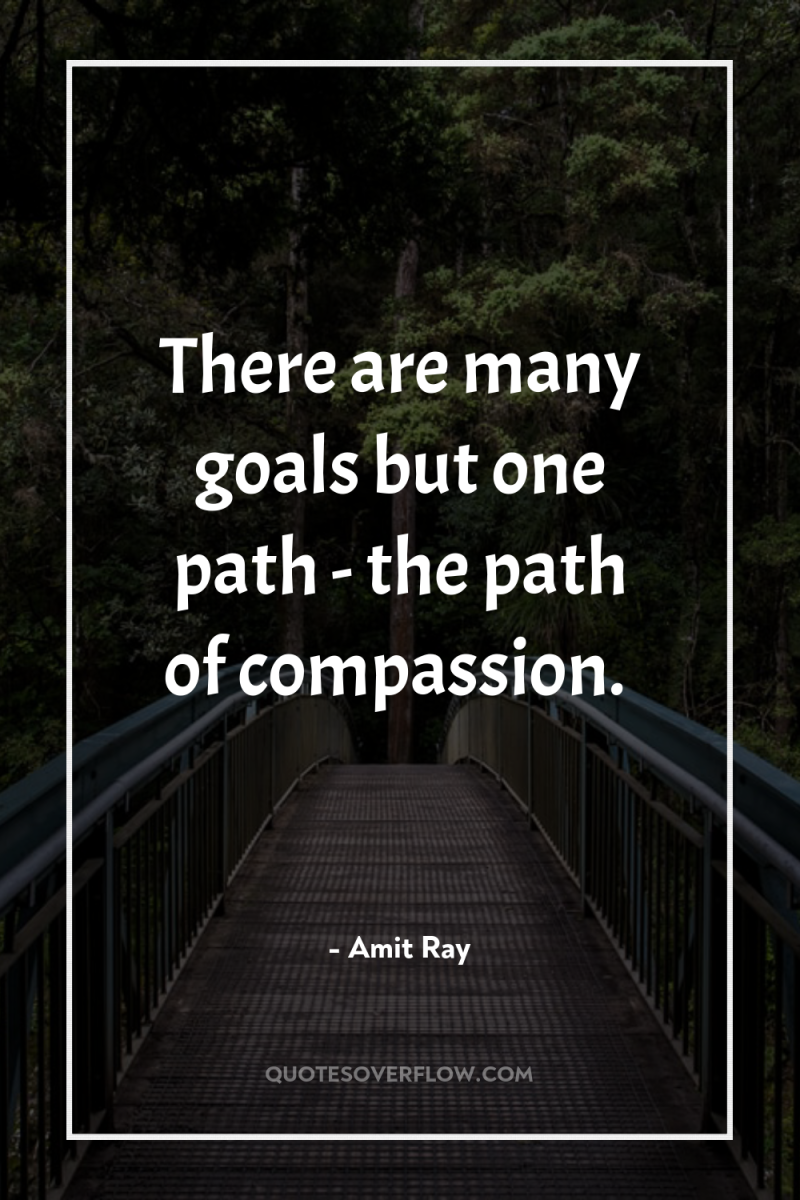 There are many goals but one path - the path...