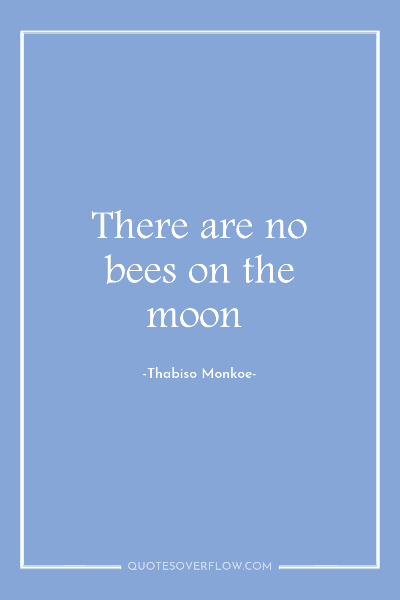 There are no bees on the moon 