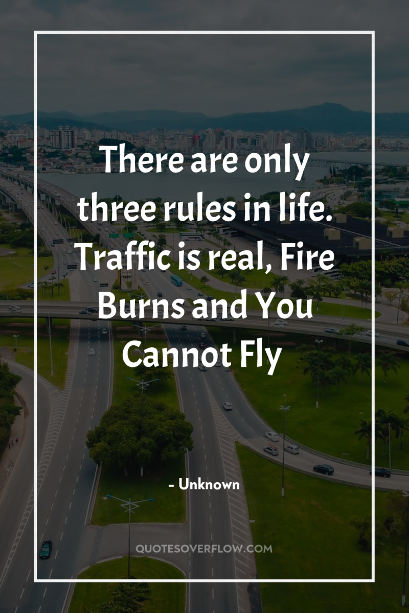 There are only three rules in life. Traffic is real,...