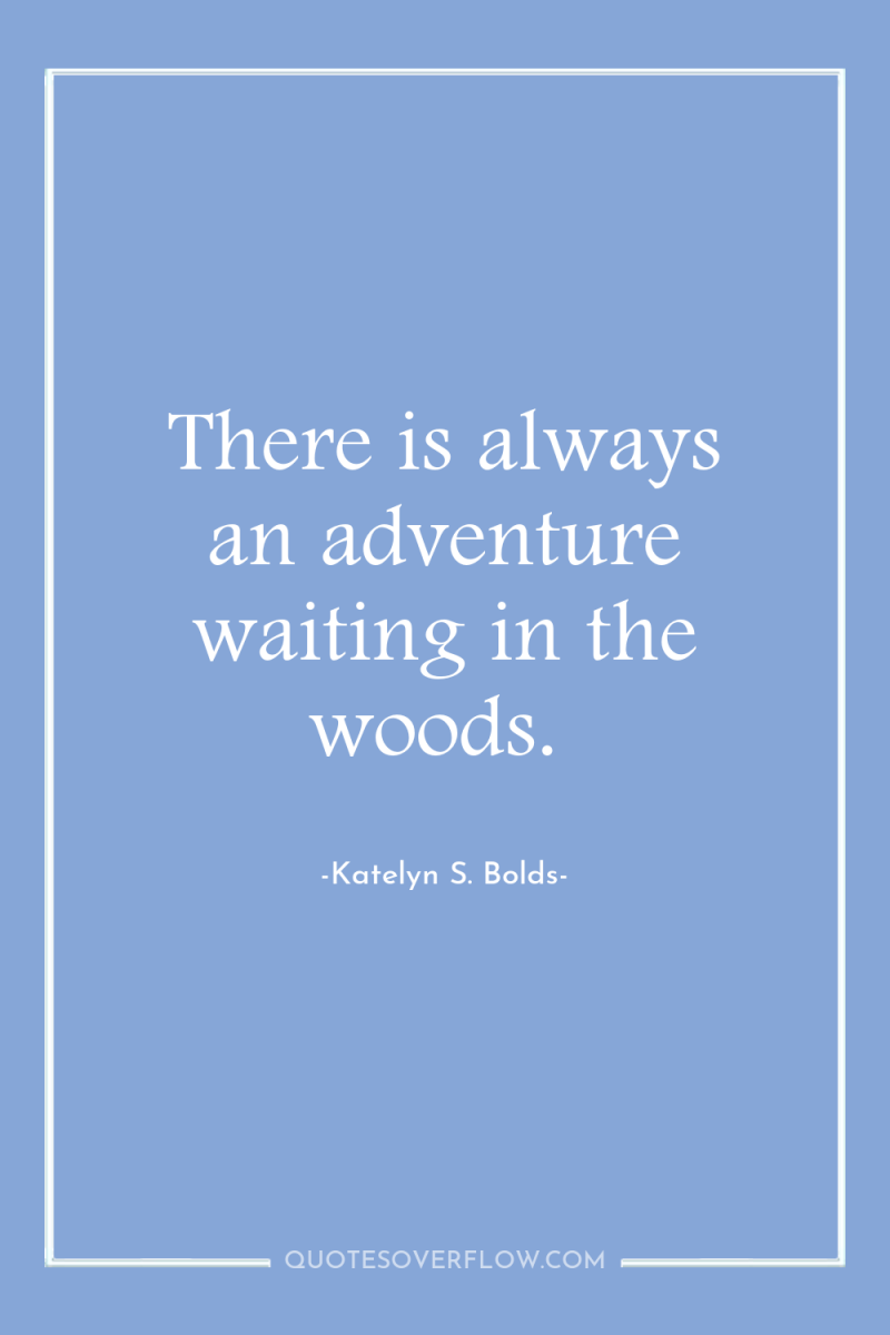 There is always an adventure waiting in the woods. 