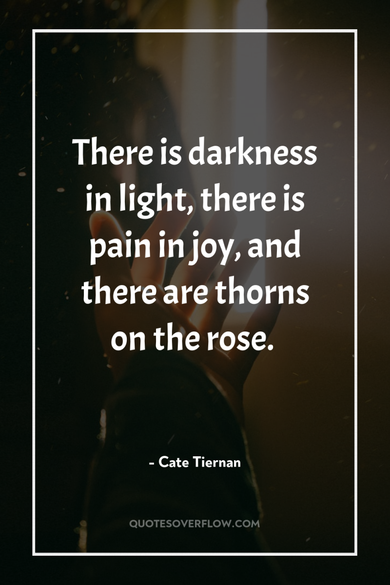 There is darkness in light, there is pain in joy,...