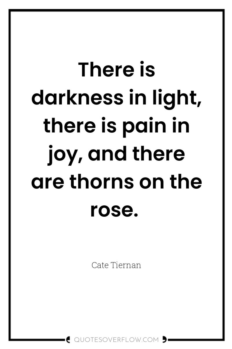 There is darkness in light, there is pain in joy,...