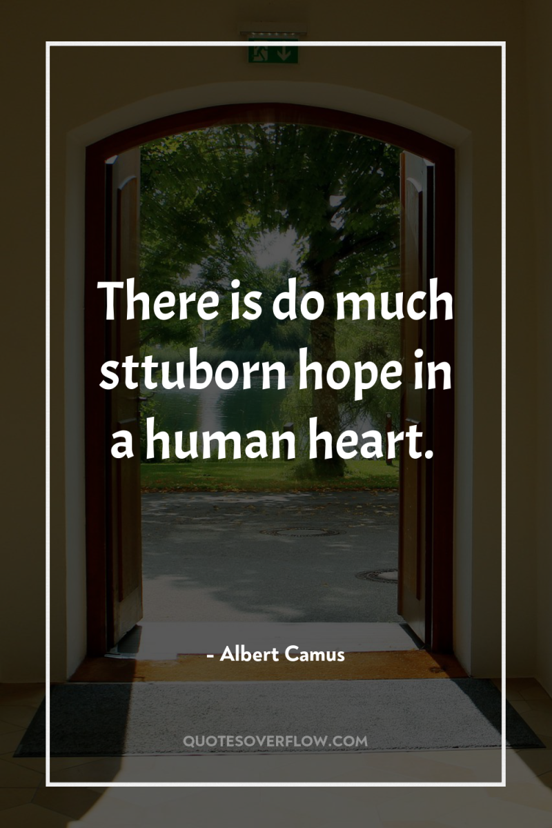 There is do much sttuborn hope in a human heart. 