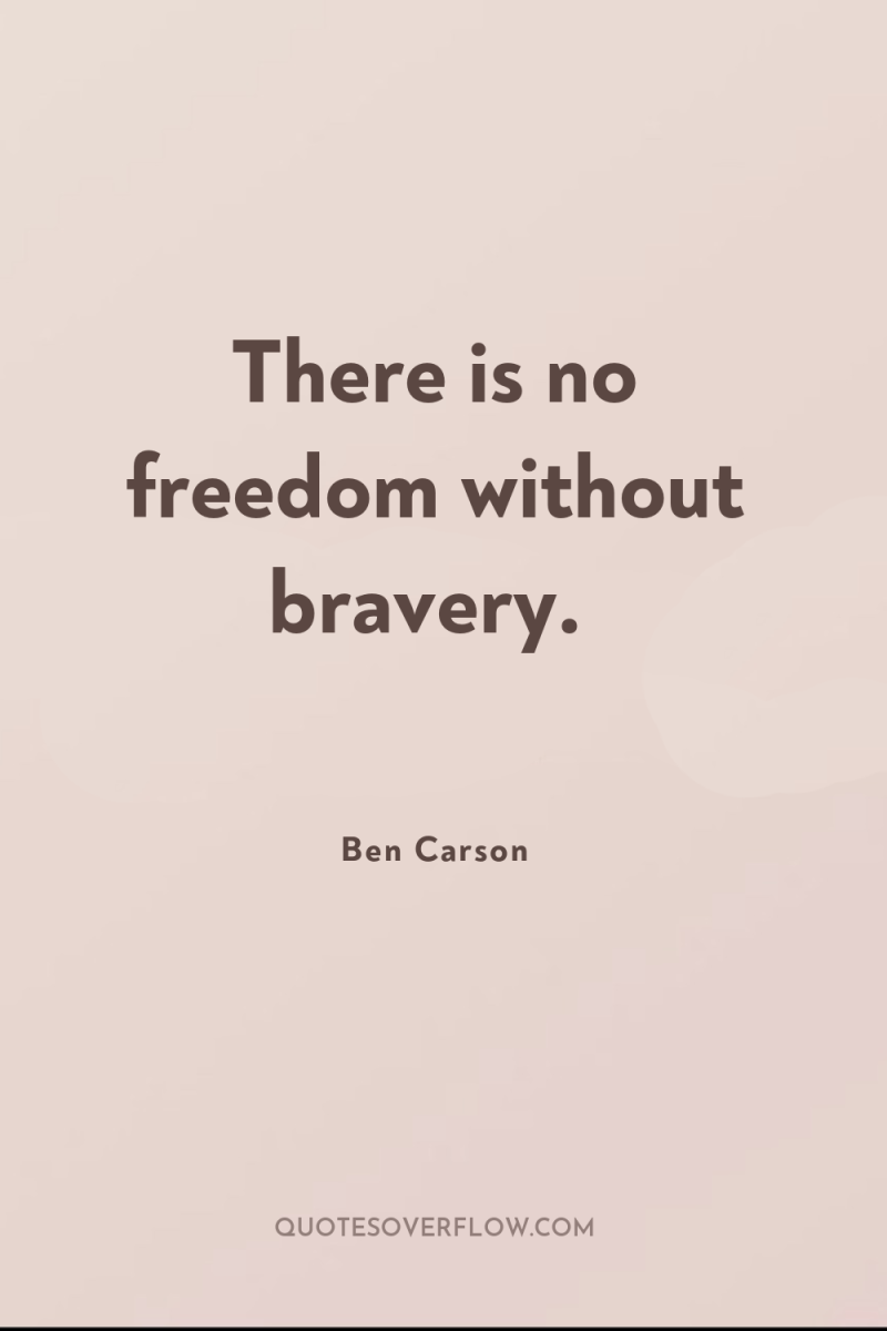 There is no freedom without bravery. 