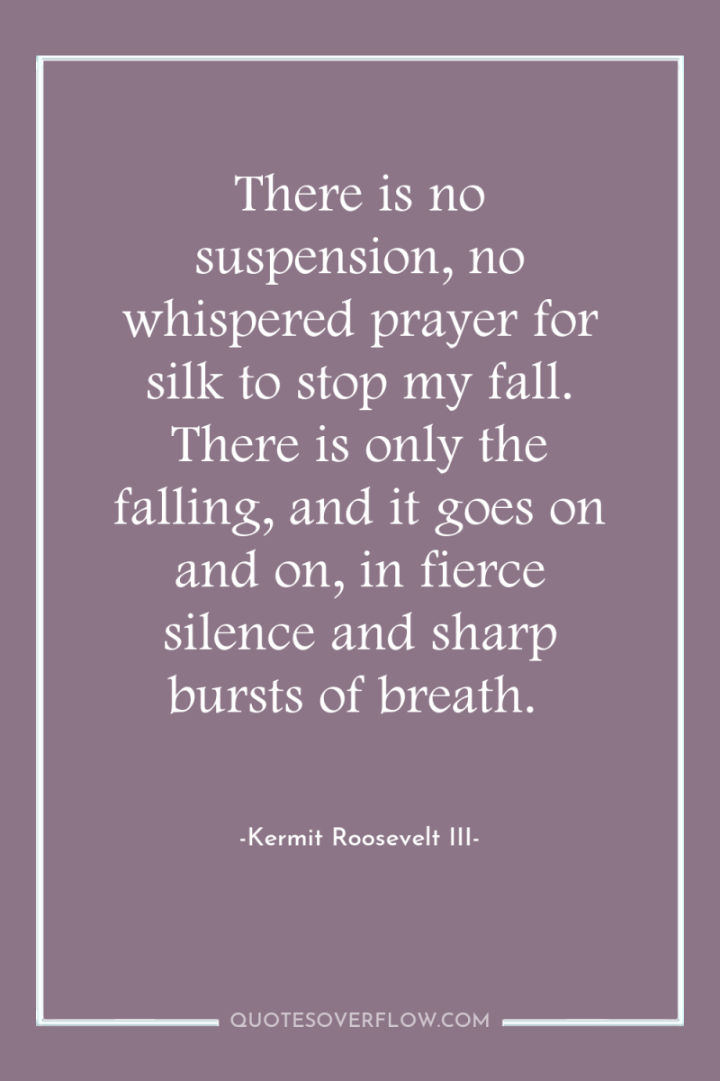 There is no suspension, no whispered prayer for silk to...