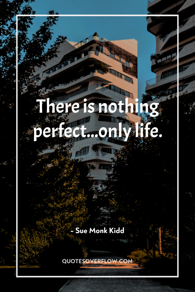 There is nothing perfect...only life. 