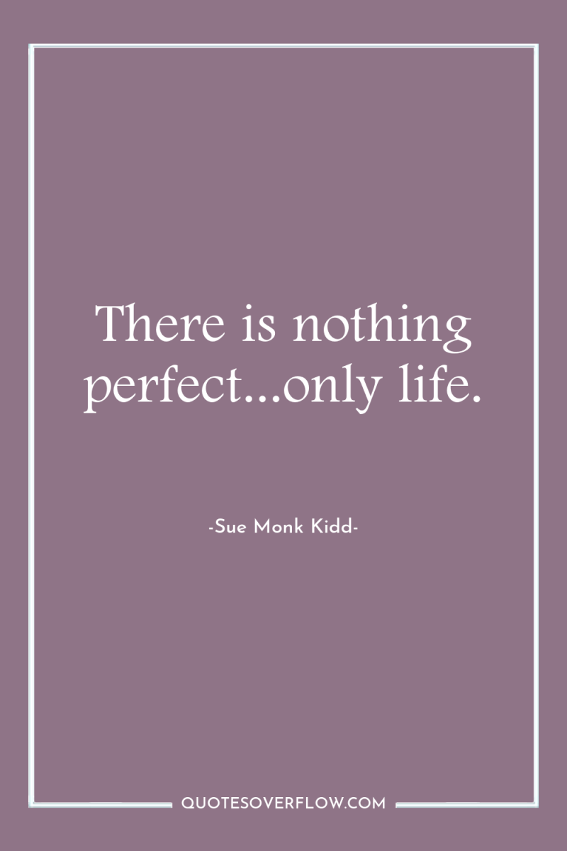 There is nothing perfect...only life. 