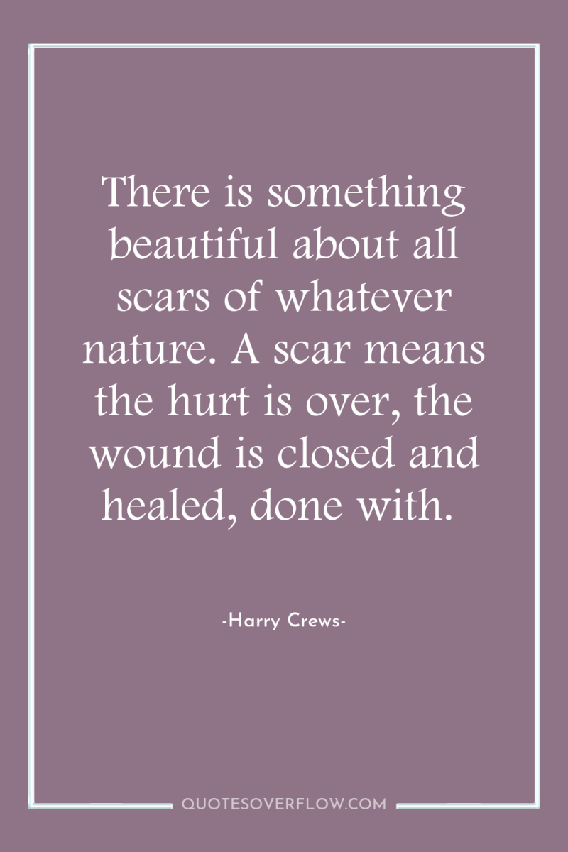 There is something beautiful about all scars of whatever nature....