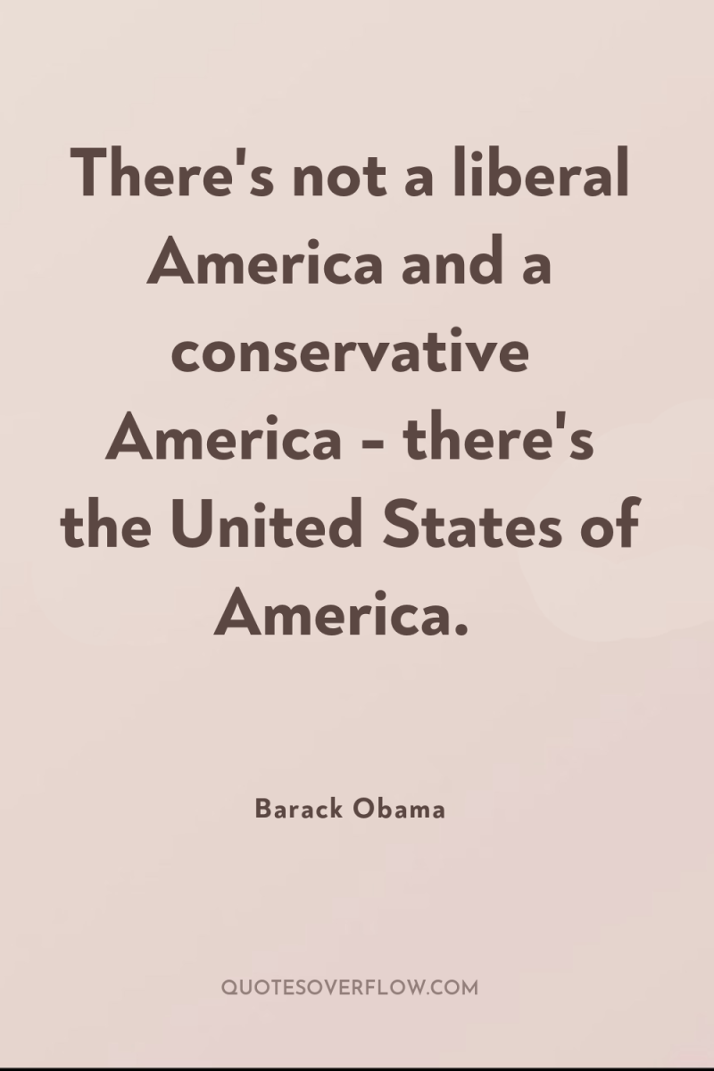 There's not a liberal America and a conservative America -...