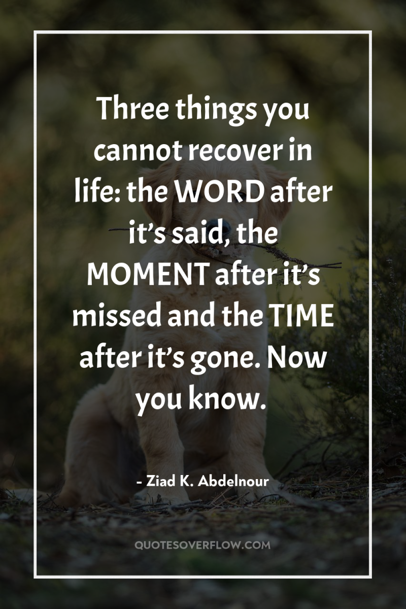 Three things you cannot recover in life: the WORD after...