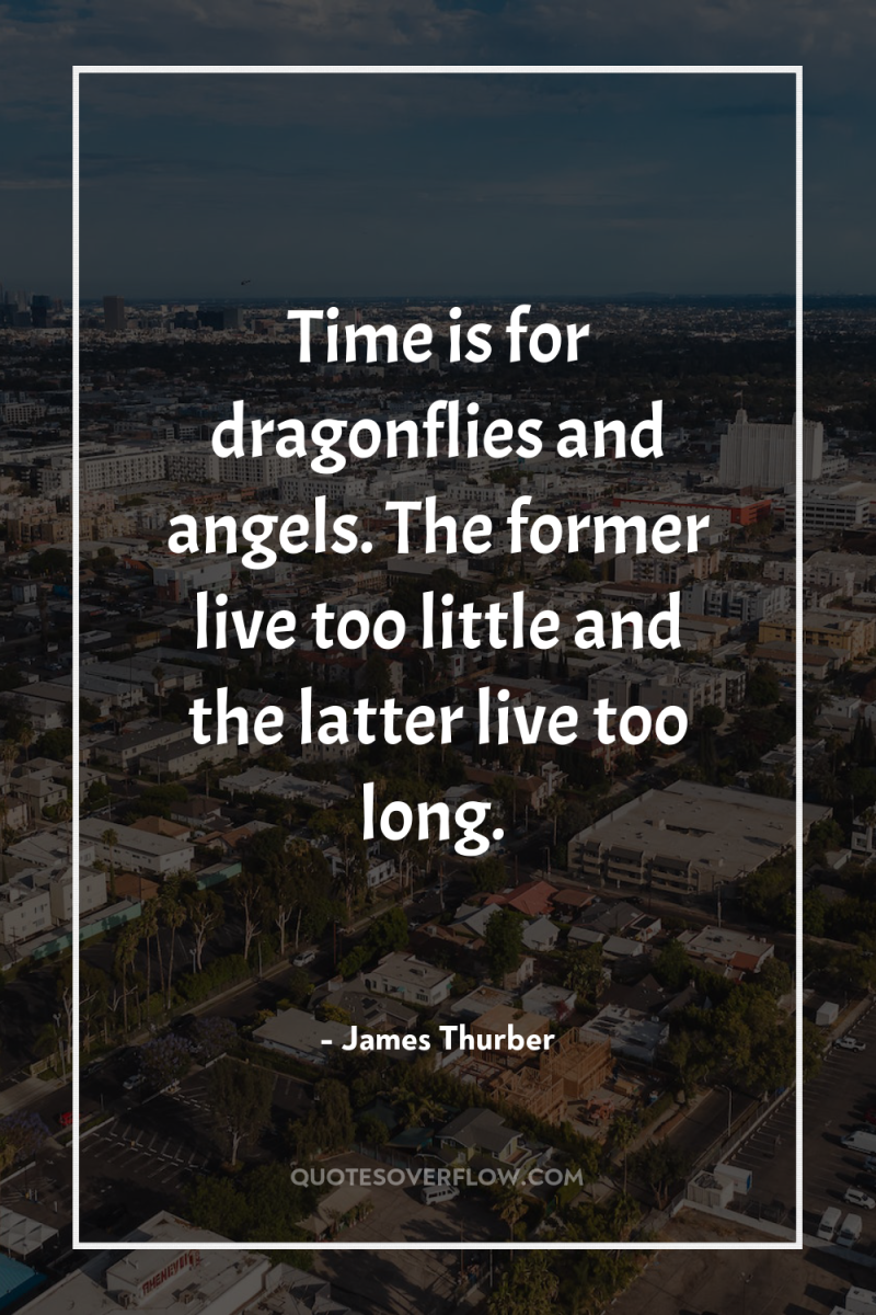 Time is for dragonflies and angels. The former live too...