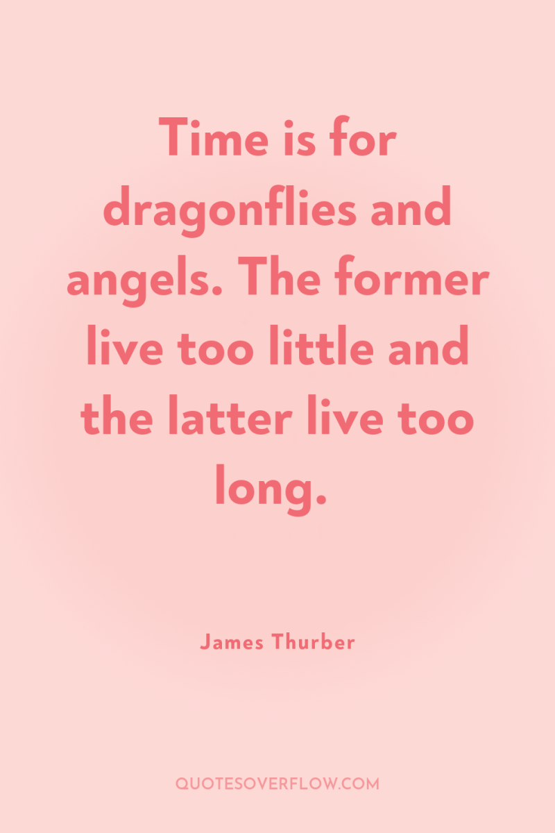 Time is for dragonflies and angels. The former live too...