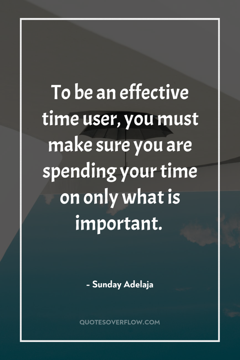 To be an effective time user, you must make sure...