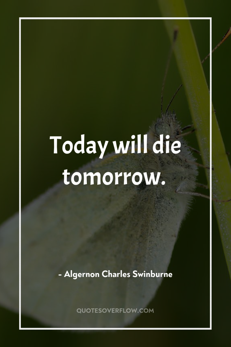 Today will die tomorrow. 