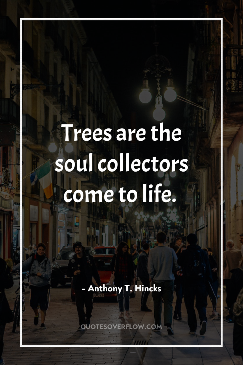 Trees are the soul collectors come to life. 