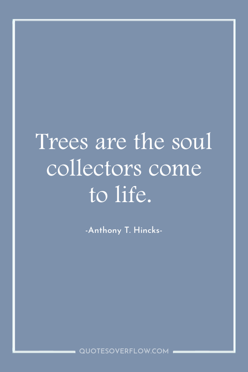 Trees are the soul collectors come to life. 