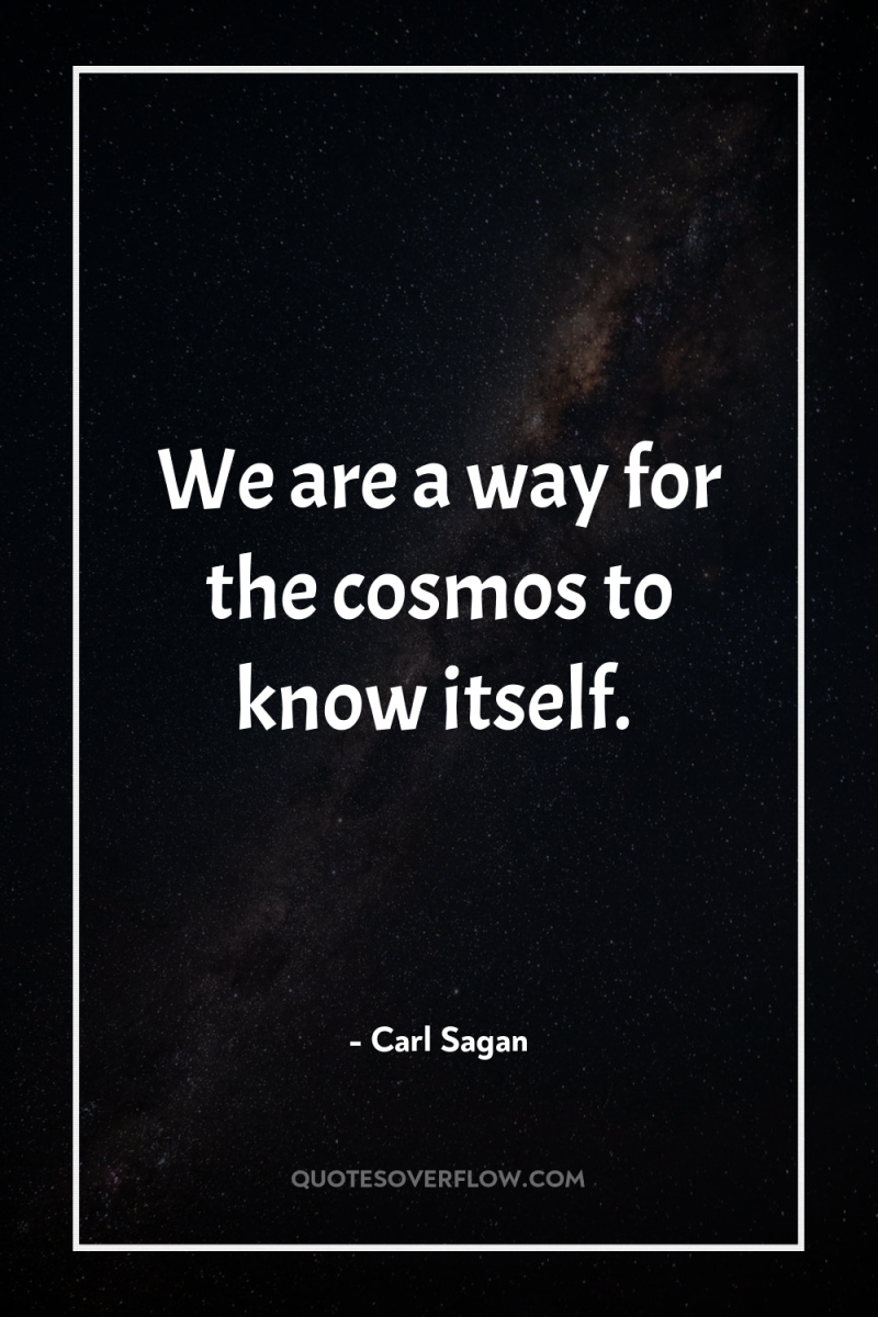 We are a way for the cosmos to know itself. 