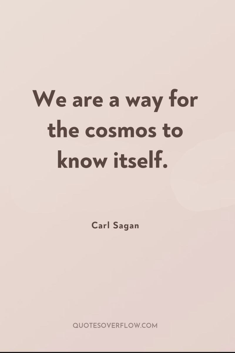 We are a way for the cosmos to know itself. 