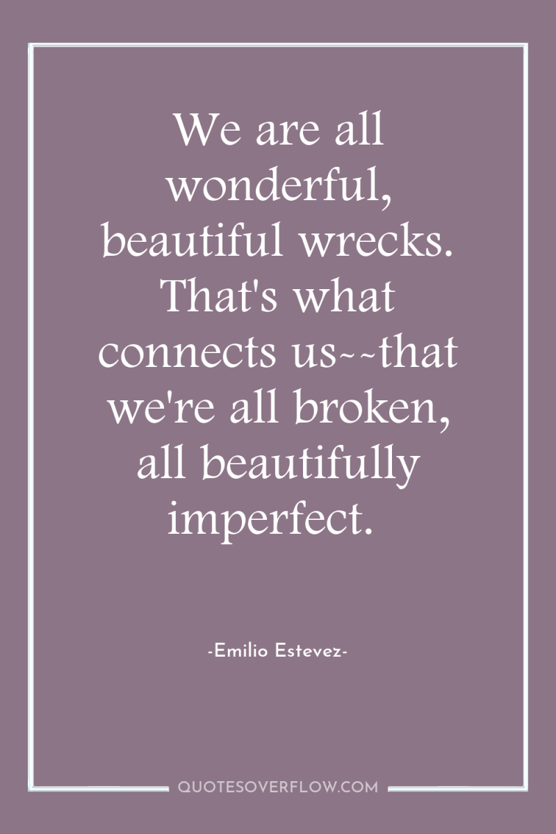 We are all wonderful, beautiful wrecks. That's what connects us--that...