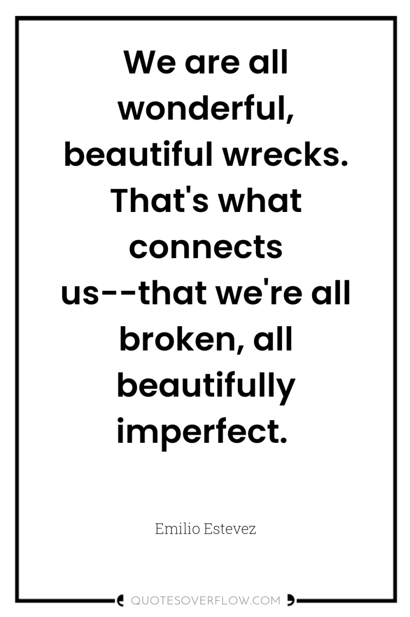We are all wonderful, beautiful wrecks. That's what connects us--that...