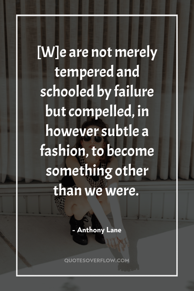 [W]e are not merely tempered and schooled by failure but...