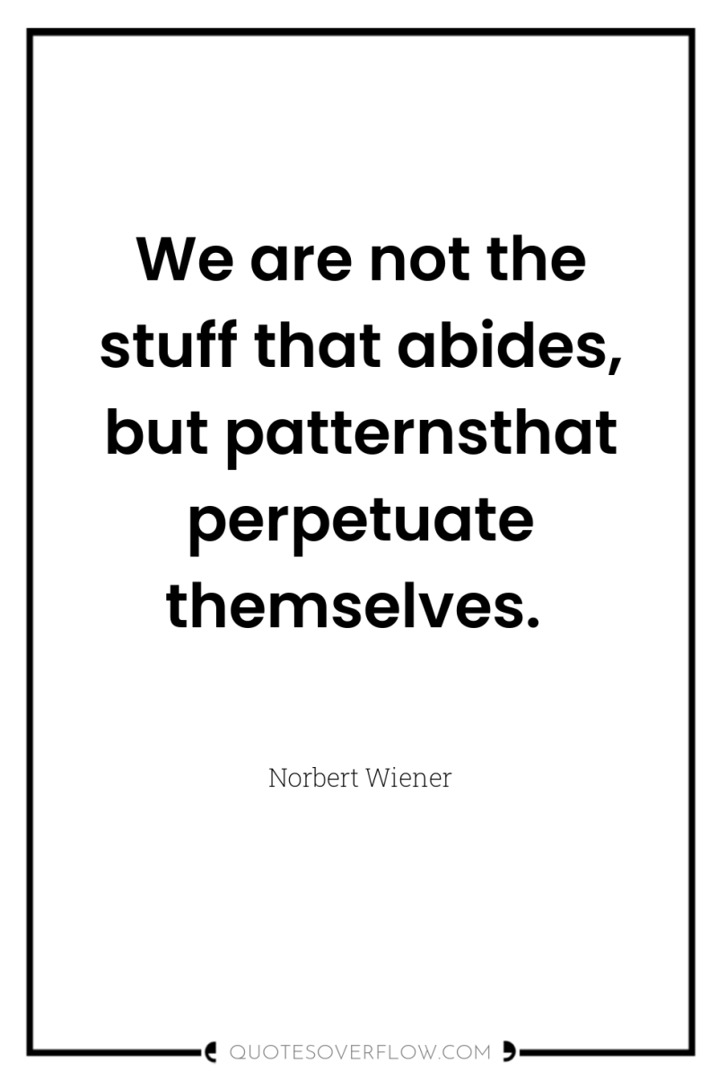 We are not the stuff that abides, but patternsthat perpetuate...
