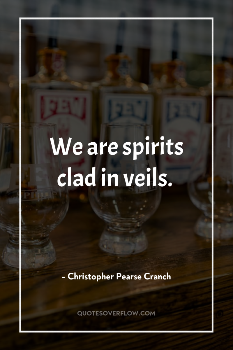 We are spirits clad in veils. 