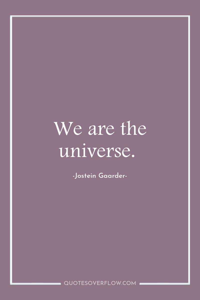 We are the universe. 