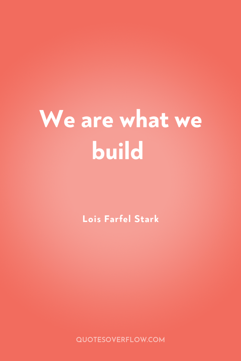 We are what we build 